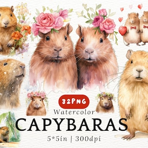 Clipart de acuarela de capibaras regordetas - Lindos capibaras kawaii, capibaras bebés PNG con fondo transparente, animales lindos, decoración infantil