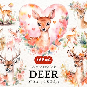 Watercolor Deer Clipart - Baby Fawn PNGs with Floral Wreath, Heart Frames, Pink Forest Animals, Cute Woodland for Nursery Decor, 300DPI