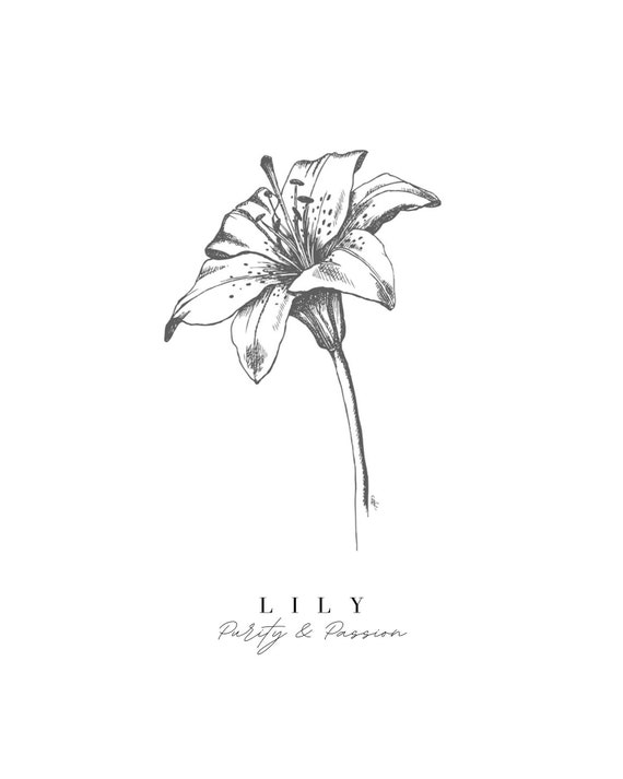 Lily Flower Floriography, Flower Print, Artwork, Botanical Meaning, Black  and White Decor, Minimalist, Flower Language - Etsy
