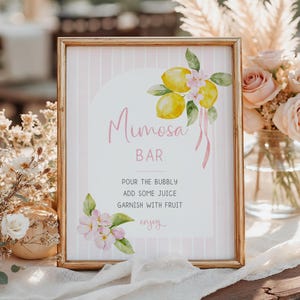 Lemon Baby Shower Mimosa Bar Sign, Ciao Baby Shower Mimosa Sign, Editable Citrus Mimosa Table Sign, Pink Lemonade Summer Baby Shower - EJ51