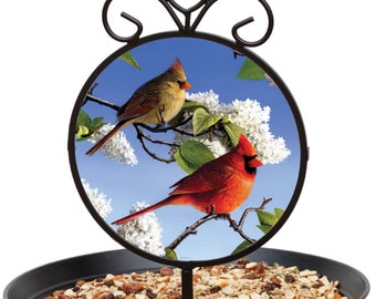 Sun Catcher Bird Feeder or Bird Bath