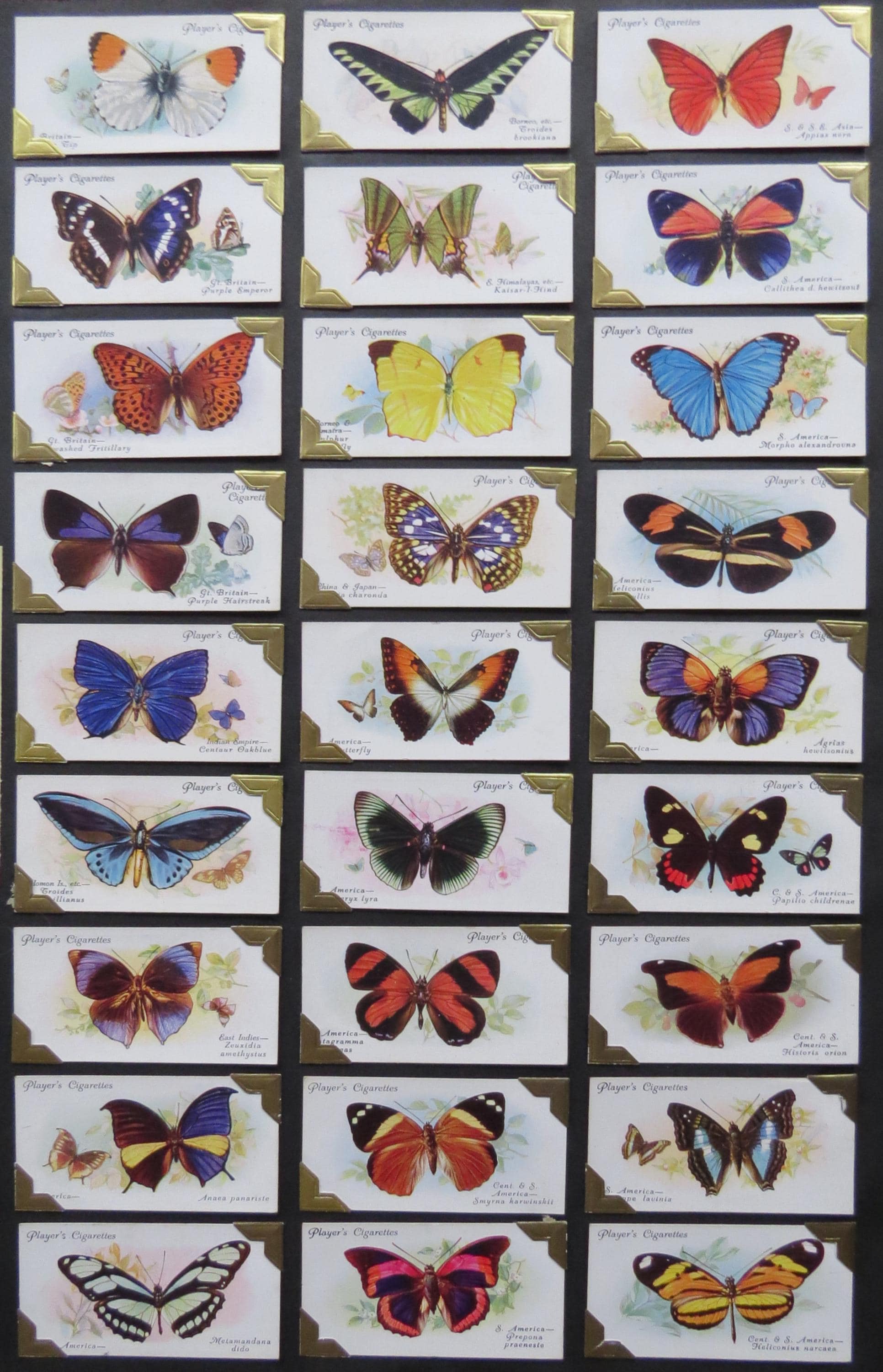 Vintage Sets of Butterflies Cigarette Cards