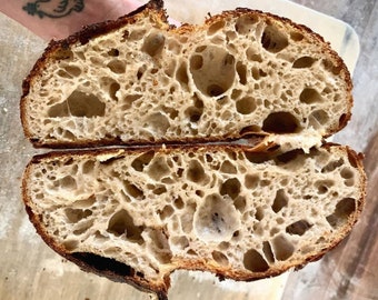 130+ Year Old Tartine Bakery San Franciscan Sourdough Starter