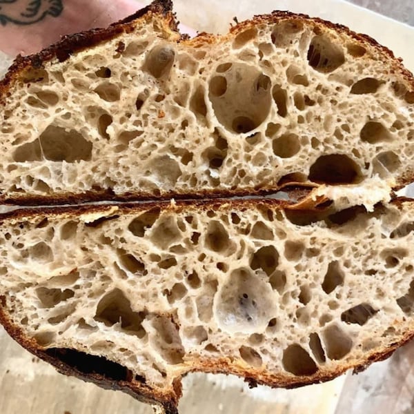 130+ Year Old Tartine Bakery San Franciscan Sourdough Starter