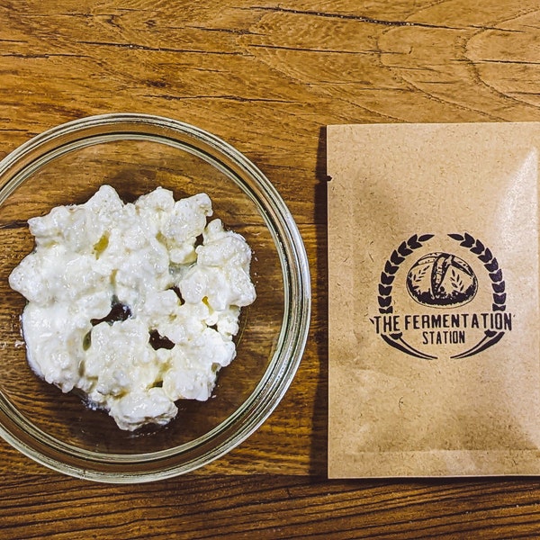 Milk Kefir Grains - Certified Organic