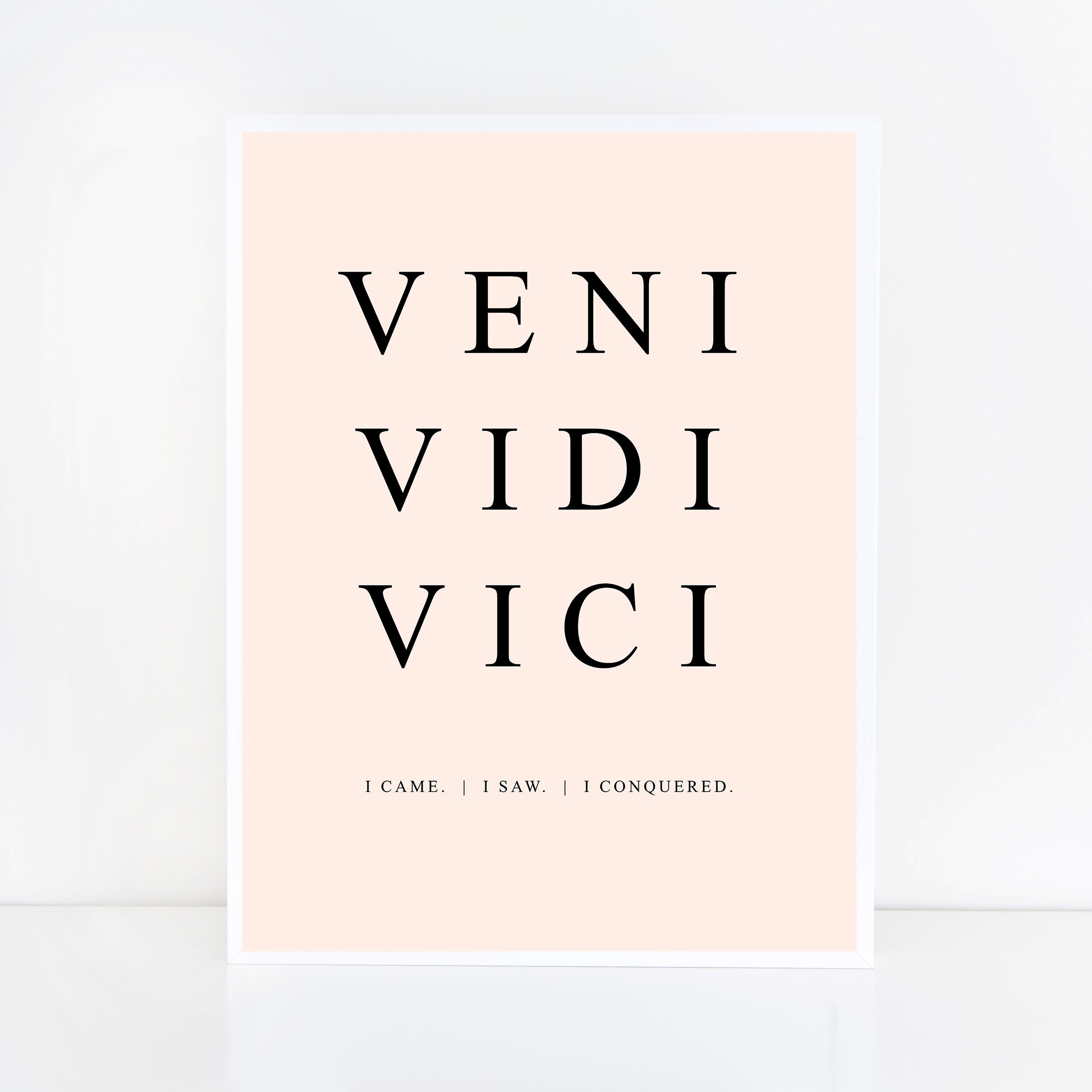 Veni Vidi Vici Quote -  Sweden