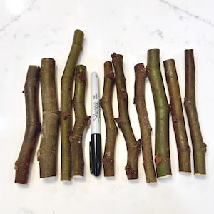 Fig Cutting 4.99 Multiple Varieties Available