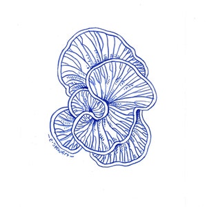 Geometry of Coral - Handmade Illustration