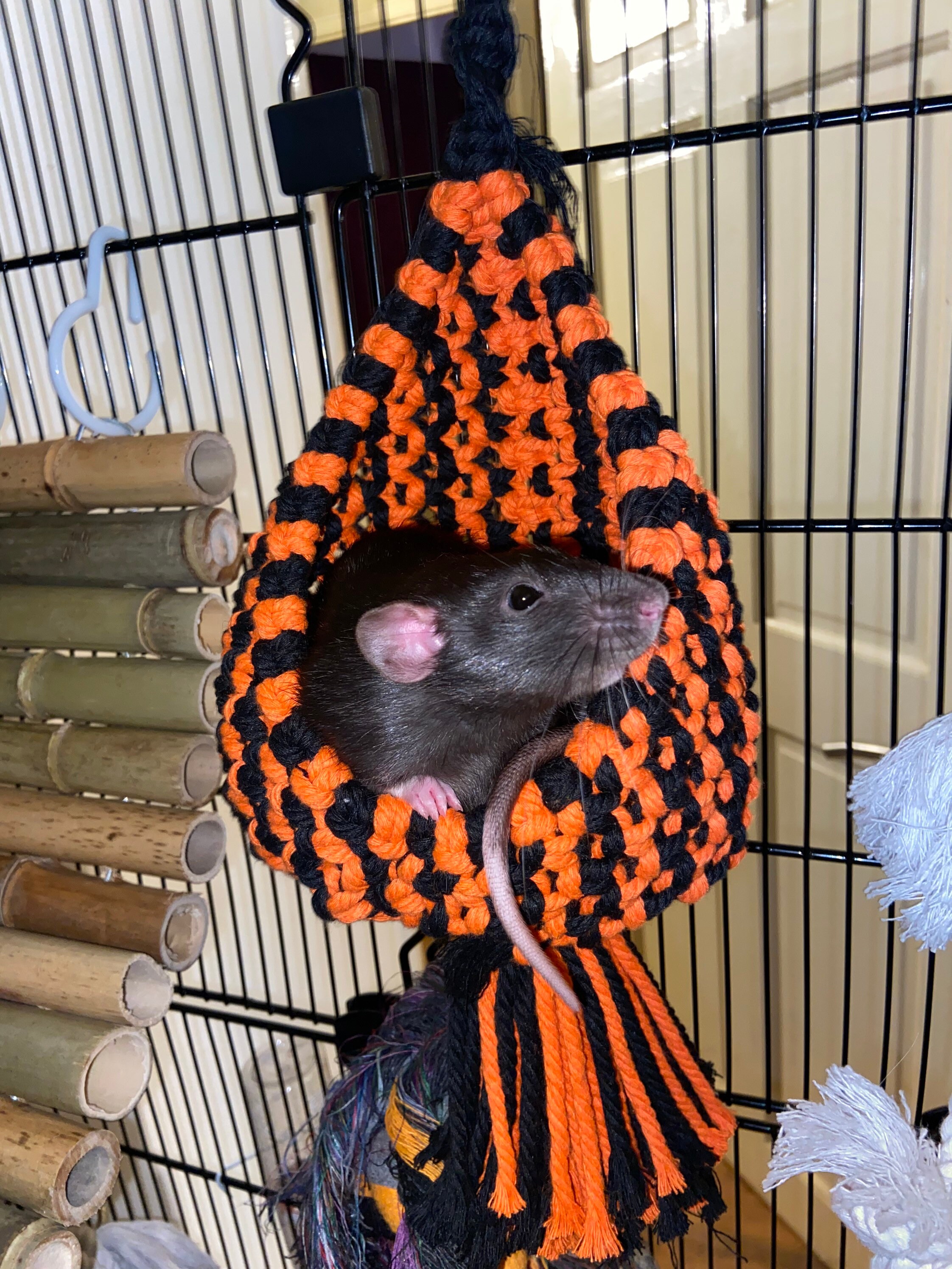 halloween rat cage decorations