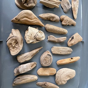 Driftwood Pieces (20) | #D1001 Length 2-3 in, Width 1-2 in| Creative Deco - flower beds, landscaping, terrariums, aquariums, DIY projects