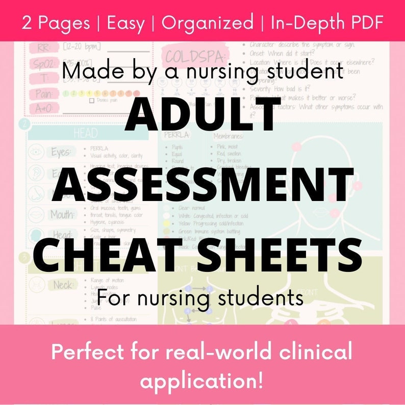 Adult Assessment Cheat Sheet for Nursing Students! Made by a Nursing Student! - Etsy