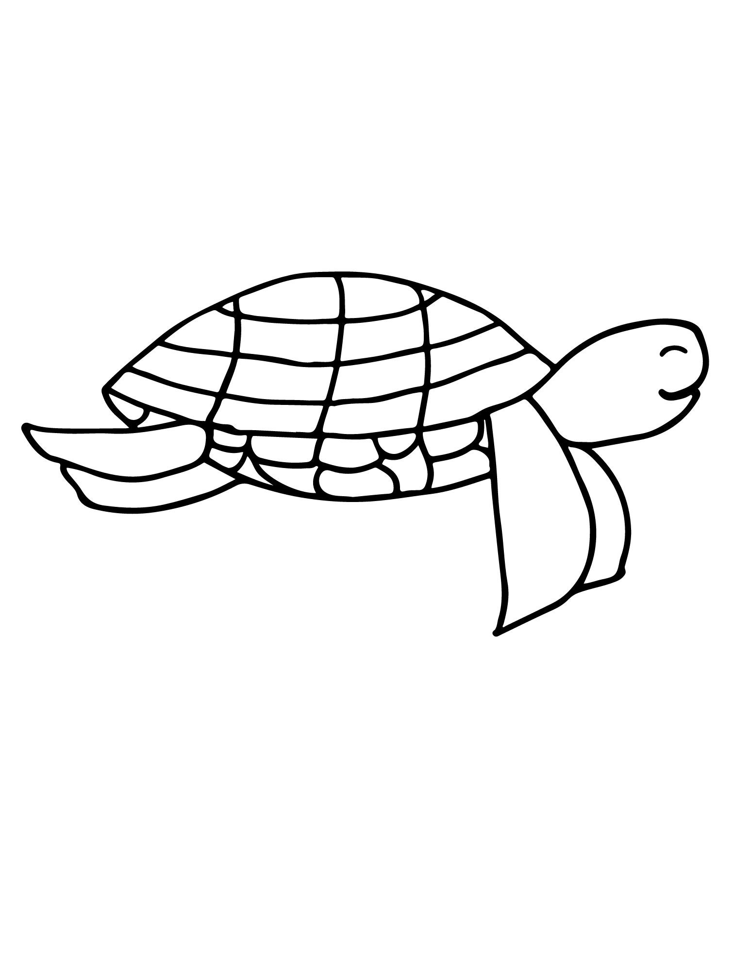 5 Printable Coloring Pages of Turtles for Coloring - Etsy