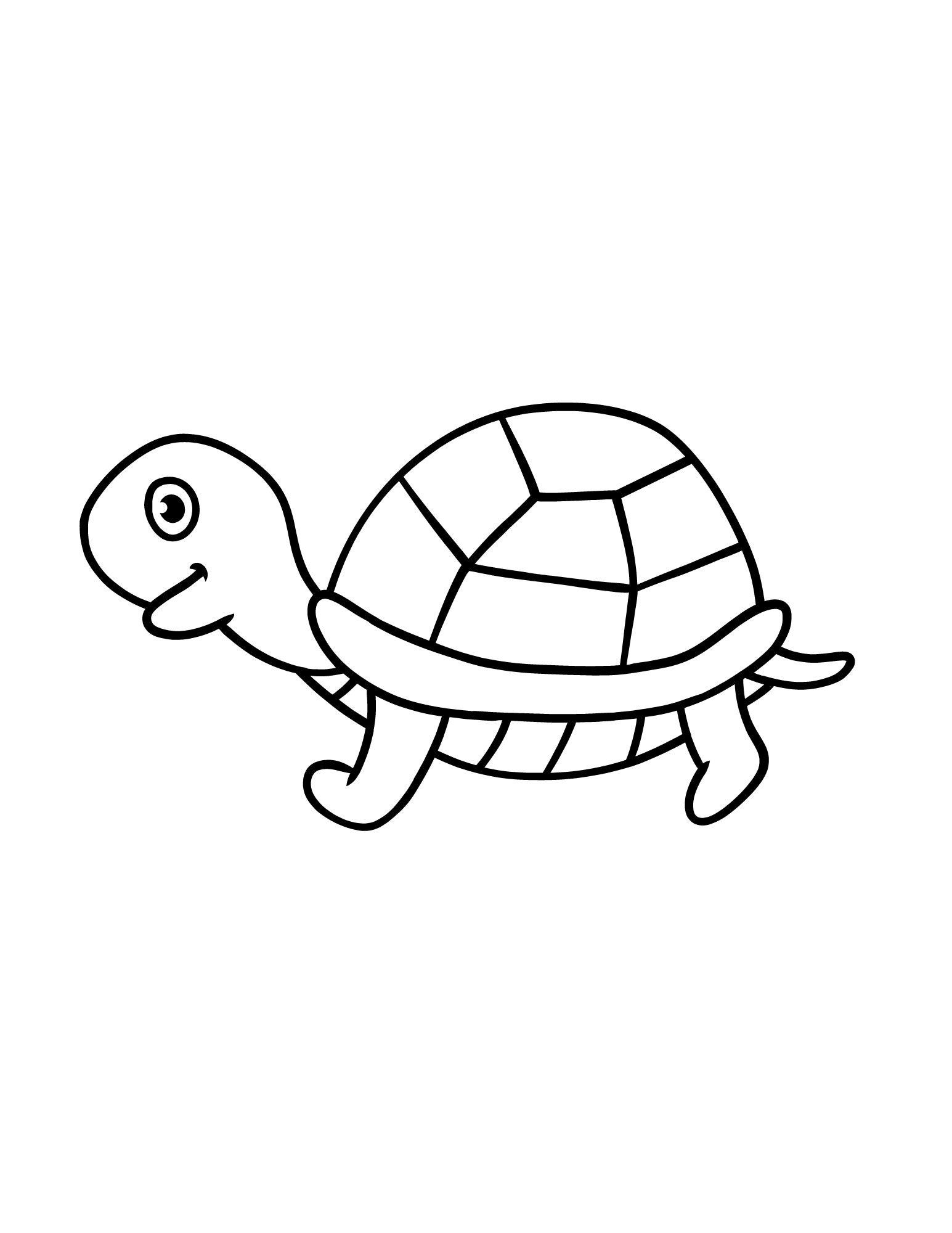Another Set of 5 Printable Coloring Pages of Turtles for Coloring - Etsy
