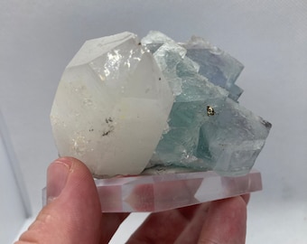 Quartz, Fluorite, And Chalcopyrite