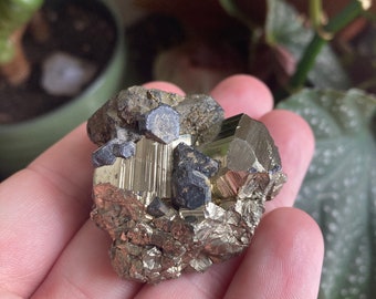 Pyrite And Galena From Bulgaria