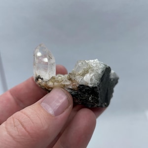 May include: A clear quartz crystal point on a matrix of black and white rock. The crystal is about 2 inches tall and has a sharp point.