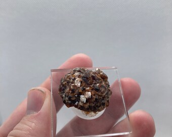 Spessartine Garnet Cluster From Tongbei, China