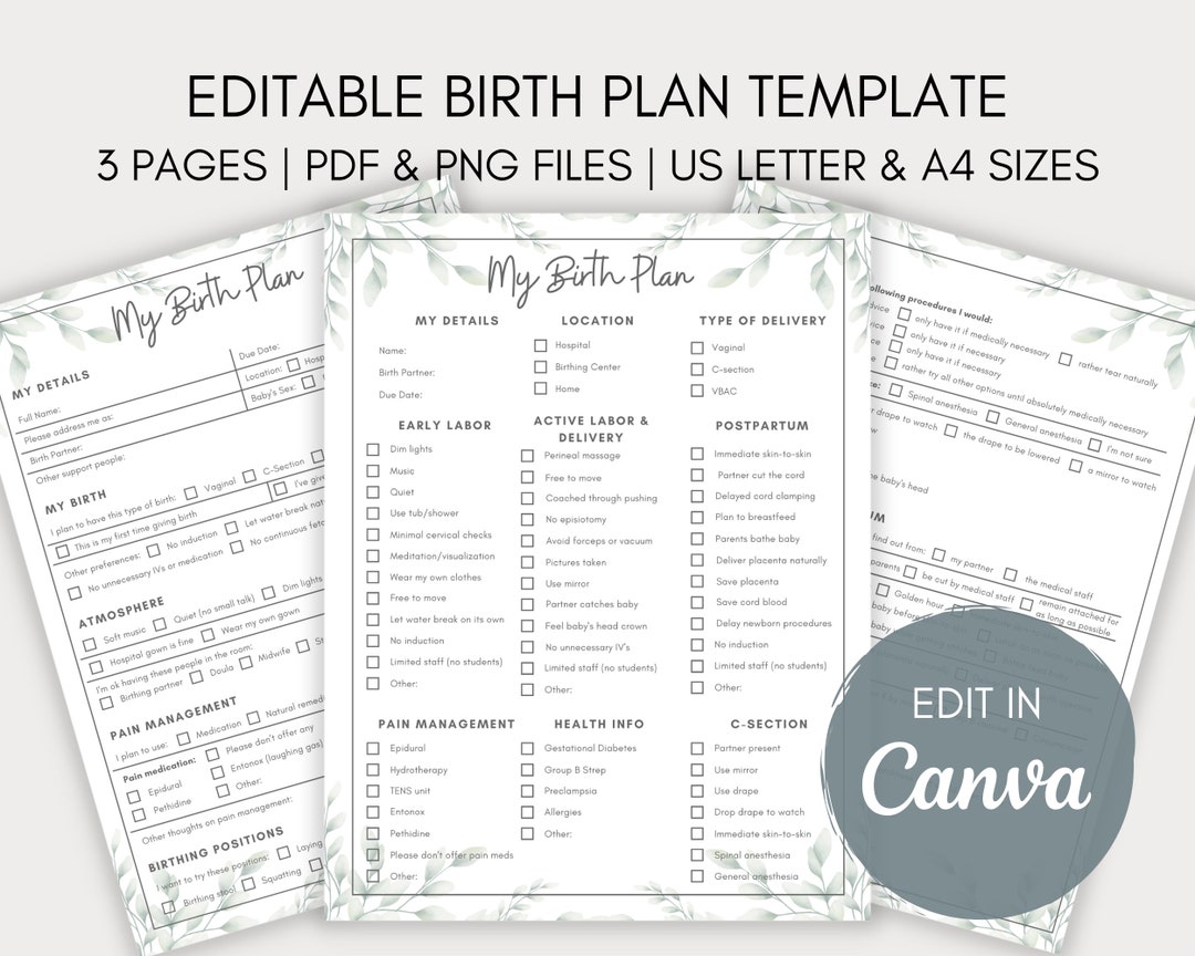 printable-birth-plan-template-edit-on-canva-fillable-template-labor