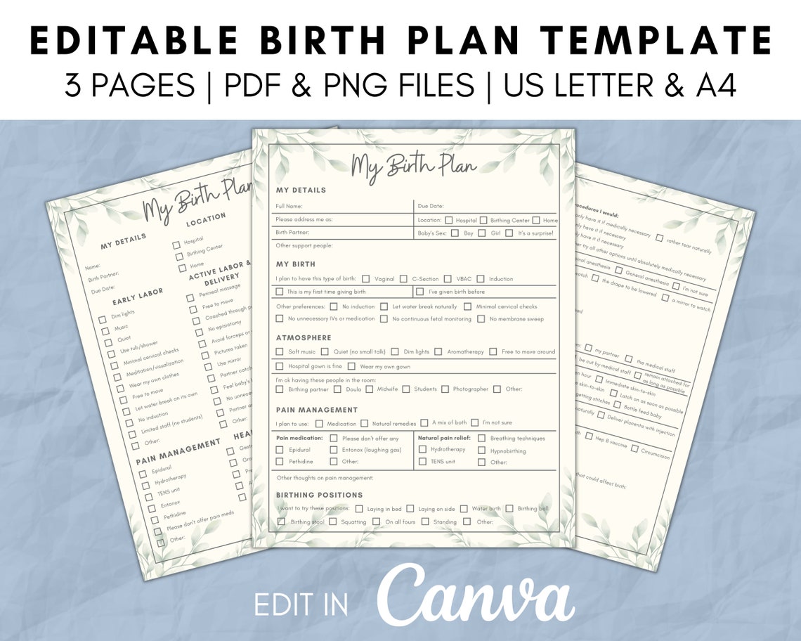 Printable Birth Plan Template Edit on Canva PDF Fillable - Etsy