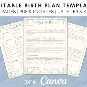 Printable Birth Plan Template, Edit on Canva, PDF, Fillable Template ...