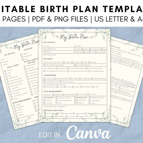 Printable Birth Plan Template Edit on Canva PDF Fillable - Etsy