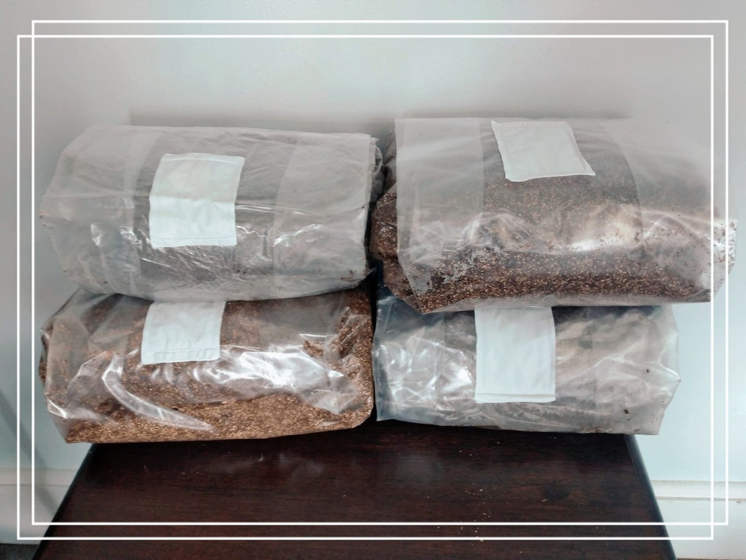 sterile-rabbit-manure-substrate-mix-20-lbs-w-coco-coir-etsy