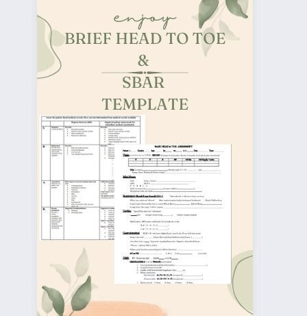SBAR and Basic Head to Toe Assessment PDF Word Doc - Etsy Australia