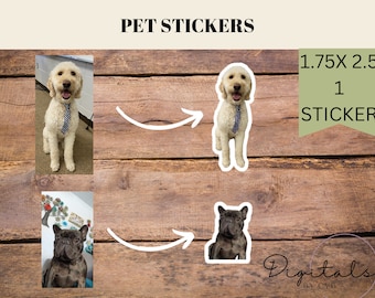 Custom Pet Stickers, Pet Stickers, Custom Photo Stickers, Personalized Pet Stickers, Dog Stickers, Personalized Stickers, Gift for him