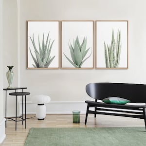 3 Piece Framed Canvas Wall Art Set, Green Succulent Plant Prints ...