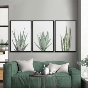3 Piece Framed Canvas Wall Art Set, Green Succulent Plant Prints ...