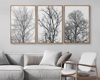 Framed Canvas Wall Art Set of 3 Black & White Tree Silhouettes Floral Botanical Print Vintage Landscape Prints Rustic Farmhouse Wall Decor