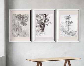 3 Piece Framed Canvas Wall Art Set, Sketch Tree Prints, Minimalist