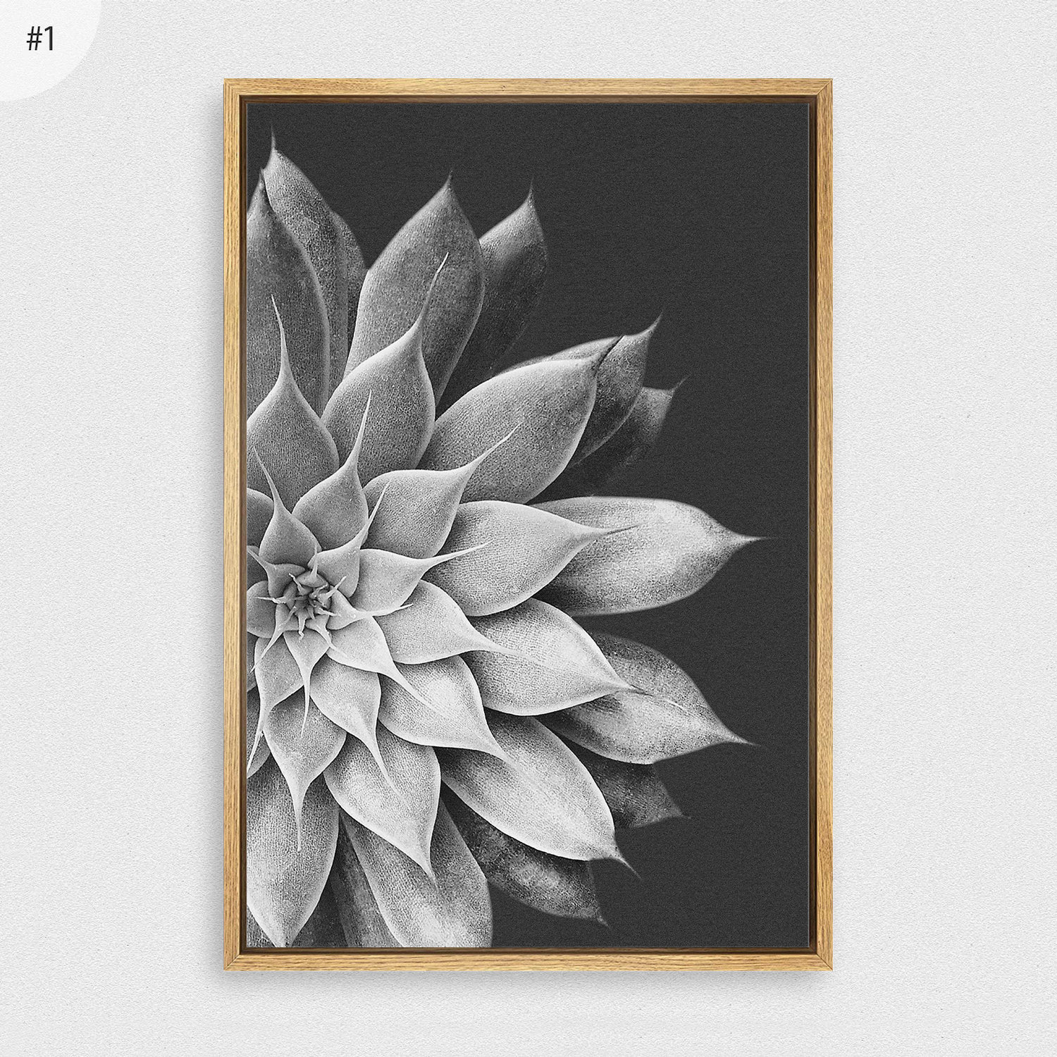 2 Piece Framed Canvas Wall Art Set Black and White Succulent Prints ...