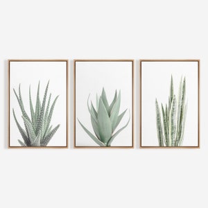 3 Piece Framed Canvas Wall Art Set, Green Succulent Plant Prints ...