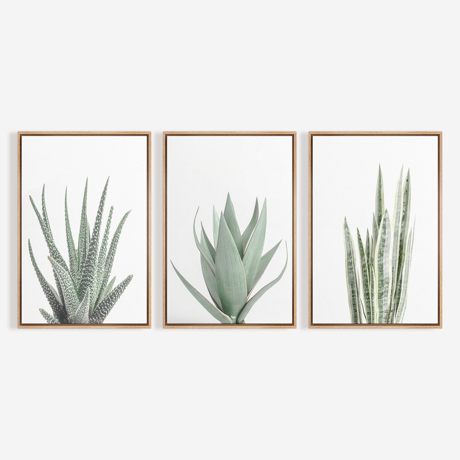 3 Piece Framed Canvas Wall Art Set, Green Succulent Plant Prints ...
