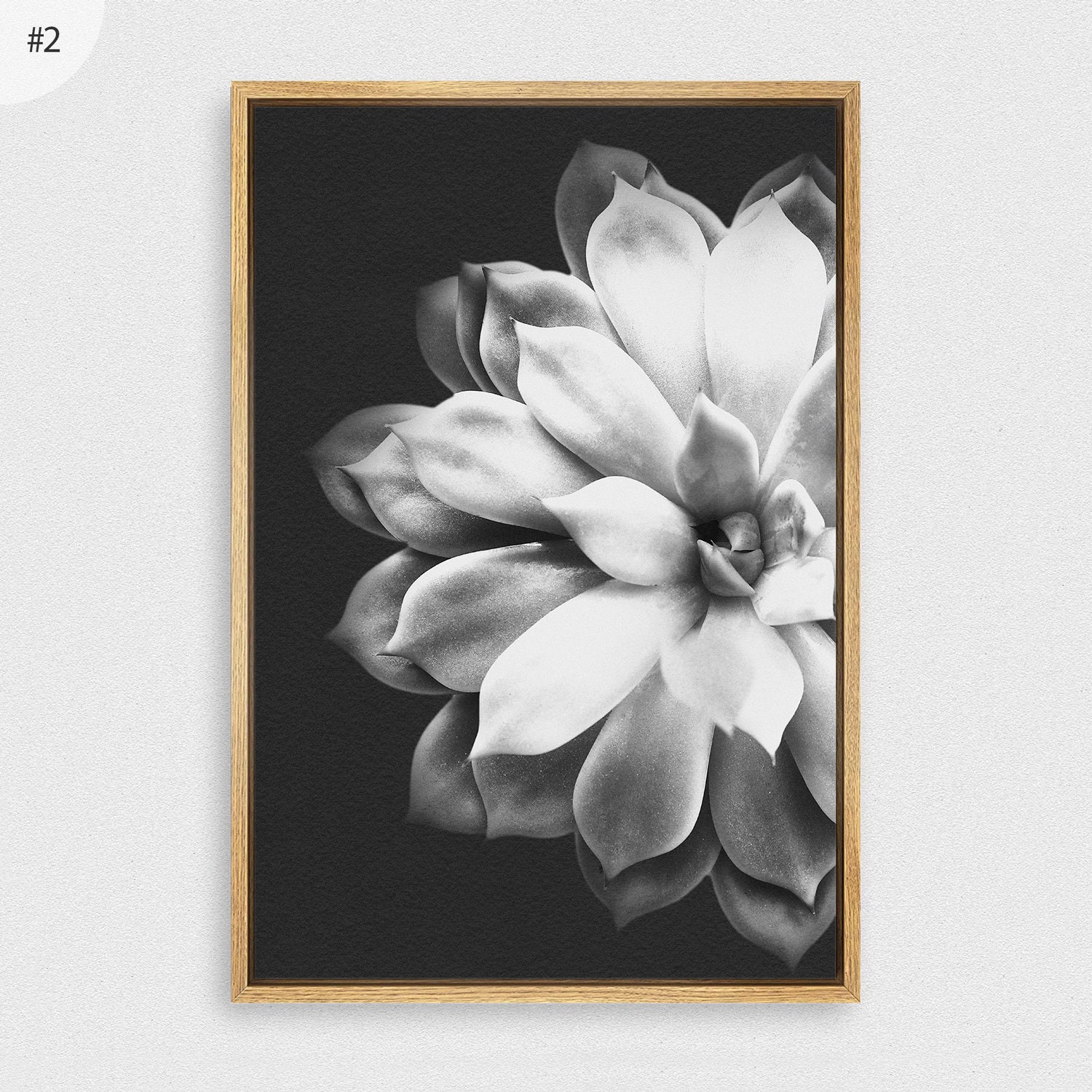 2 Piece Framed Canvas Wall Art Set Black and White Succulent Prints ...
