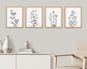 May include: Set of four black and white line drawings of different types of flowers in simple frames. The frames are a light wood color.