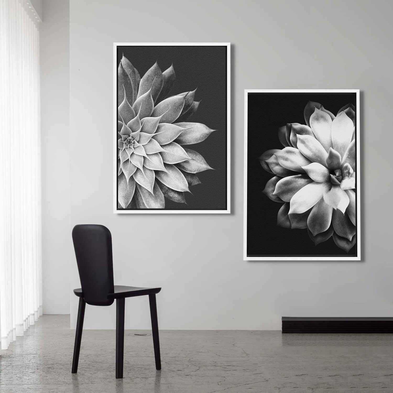 2 Piece Framed Canvas Wall Art Set Black and White Succulent Prints ...