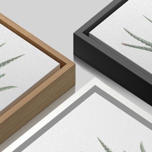 3 Piece Framed Canvas Wall Art Set, Green Succulent Plant Prints ...
