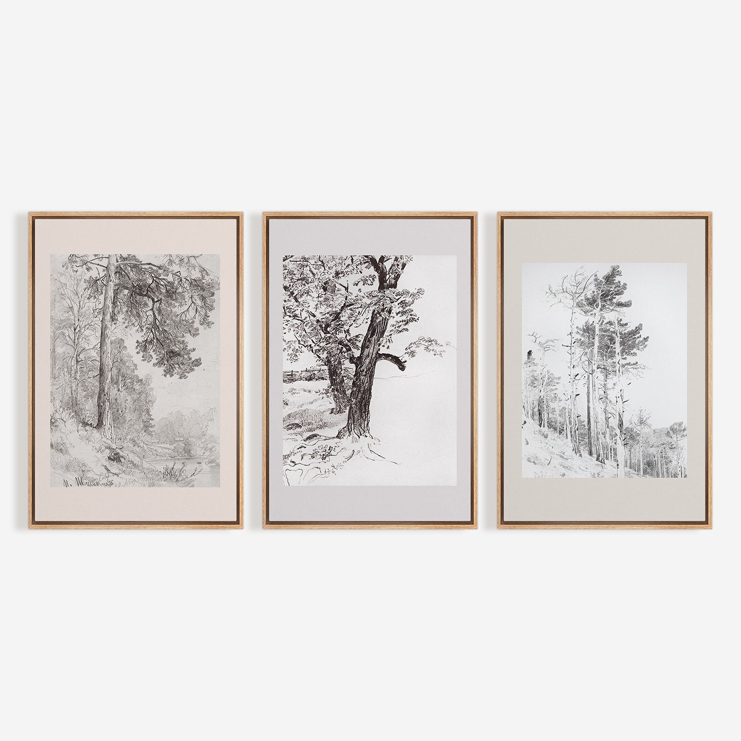 3 Piece Framed Canvas Wall Art Set, Sketch Tree Prints, Minimalist