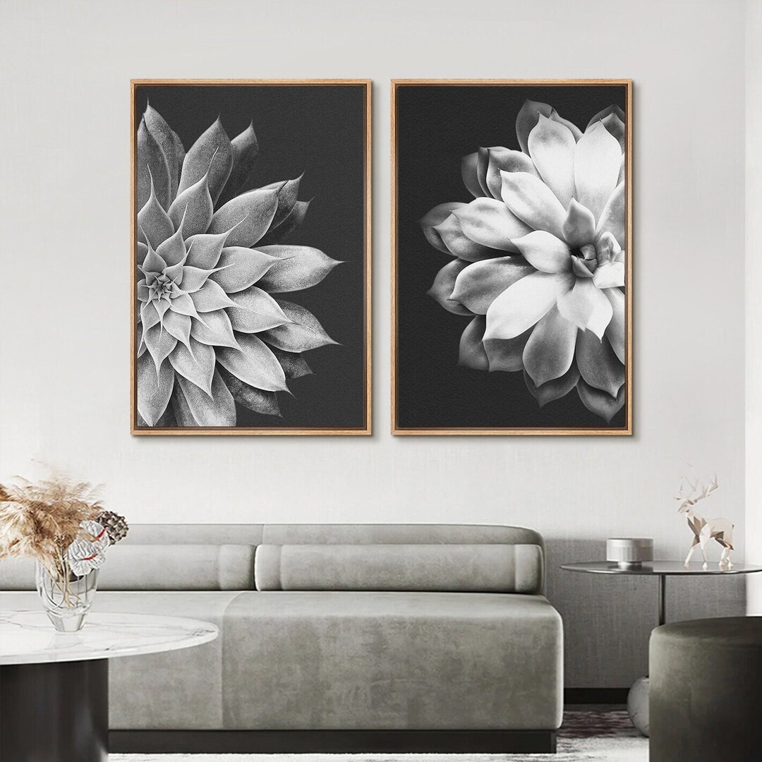2 Piece Framed Canvas Wall Art Set Black and White Succulent Prints ...