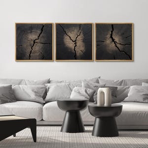 May include: Set of three framed square wall art pieces. Each piece features a close-up view of a dark, textured wood cross-section with a light-colored center and a network of cracks. The frames are a light brown color.