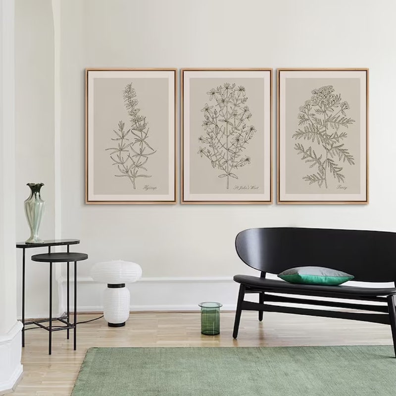 Framed Botanical Set of 3 - Etsy