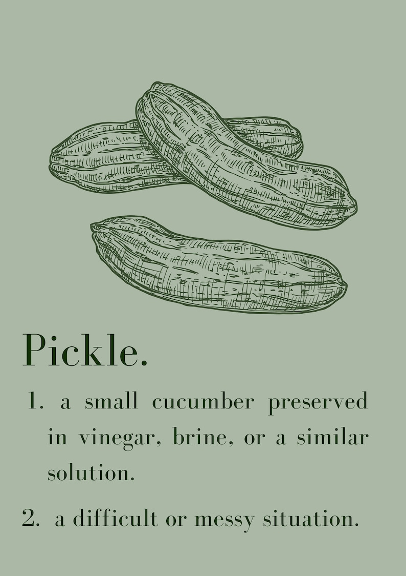 Definition Pickle Printable Artwork Digital Download Etsy