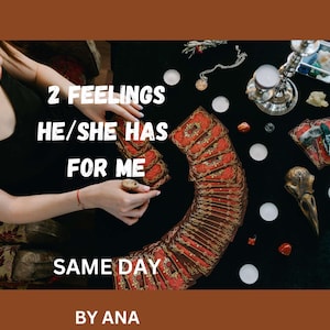 Love Tarot Reading – Discover 2 Feelings Your Person Has for You Today – Same Day Psychic Soulmate Insight