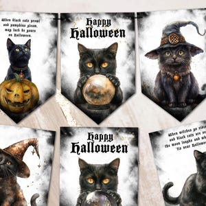Black Magic Cat Halloween Bunting Party Decoration Happy Halloween
