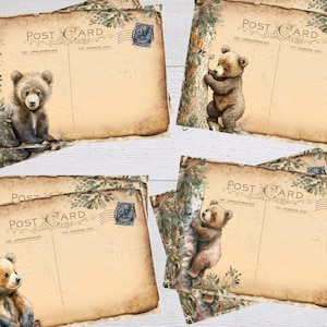 8 Cartões postais em branco do Woodland Baby Teddy Bear
