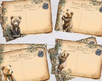 8 Woodland Baby Teddy Bear Blank Post Cards