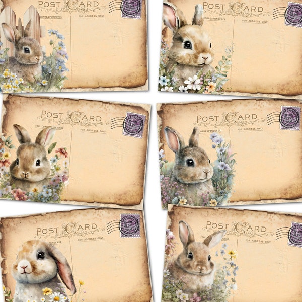 6 Floral Cute Easter Bunny Blank Tatty Post Cards With or Without Envelopes