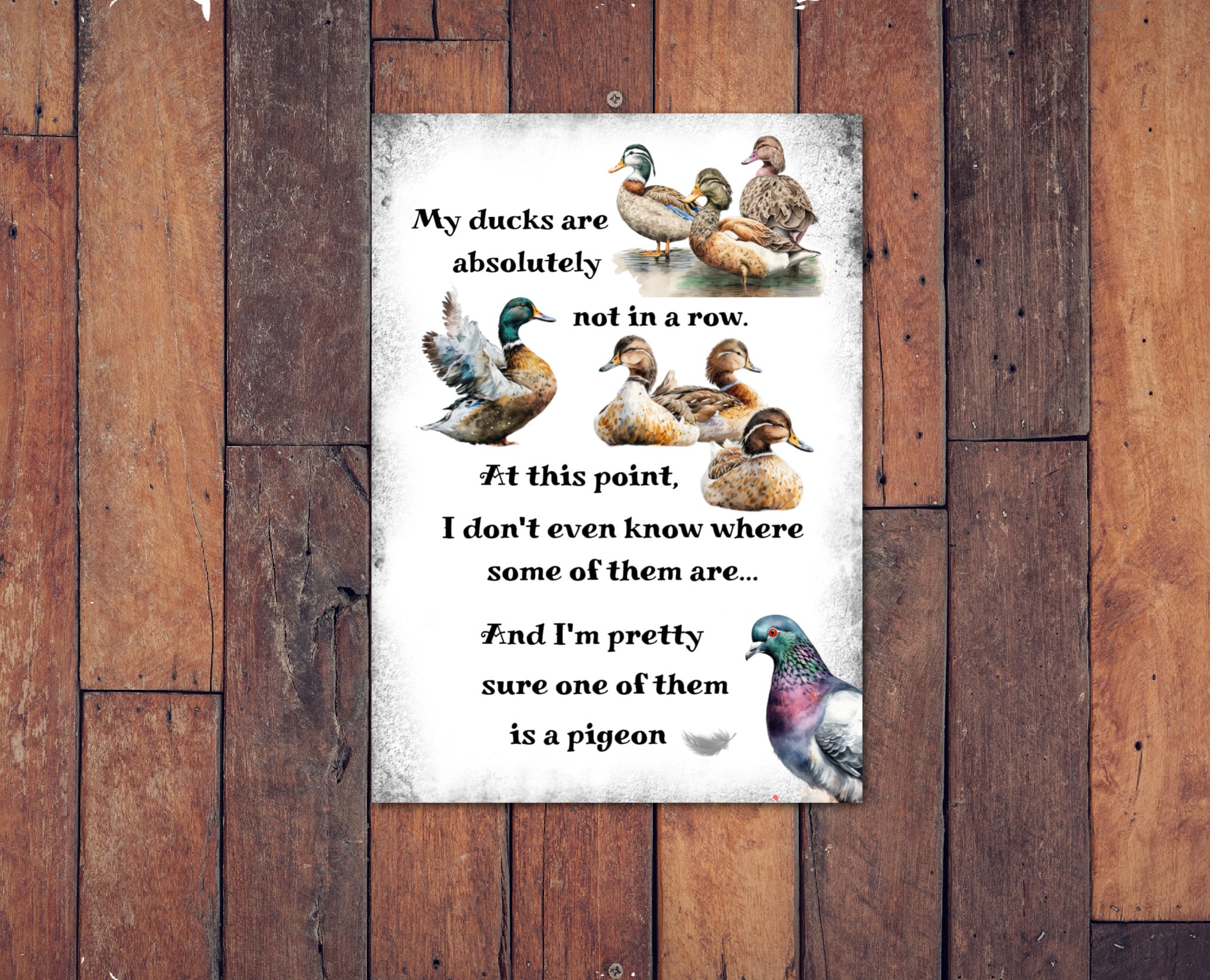 Lustiges Warnschild – ‚This Property Is Protected By Highly Trained Ducks‘, Metall, 30,5x20,3 Cm